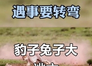 爱游戏ayx官方网站-关于黄蜂遭遇惊险逆转，老将生死关键时刻救场的信息
